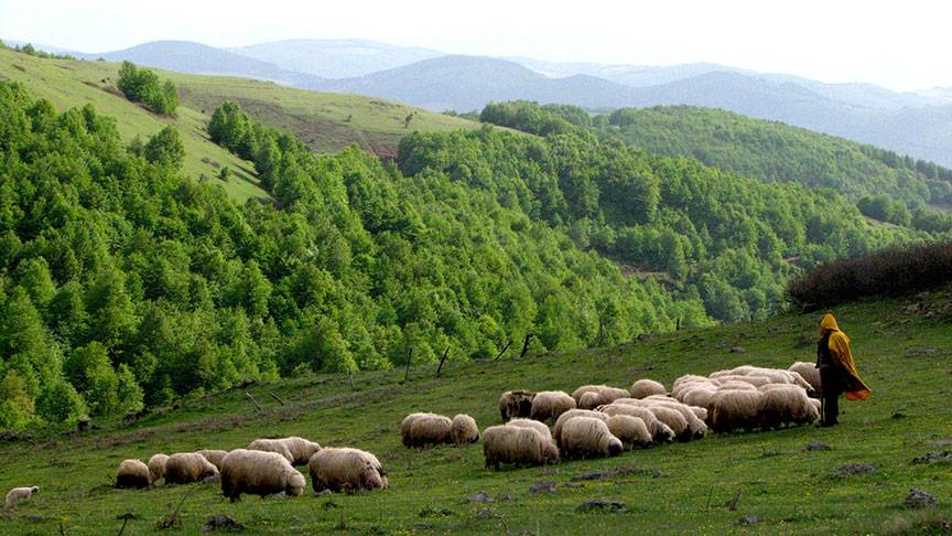 Türkiye'de en uzun yaşam süresine sahip şehirler belli oldu 9